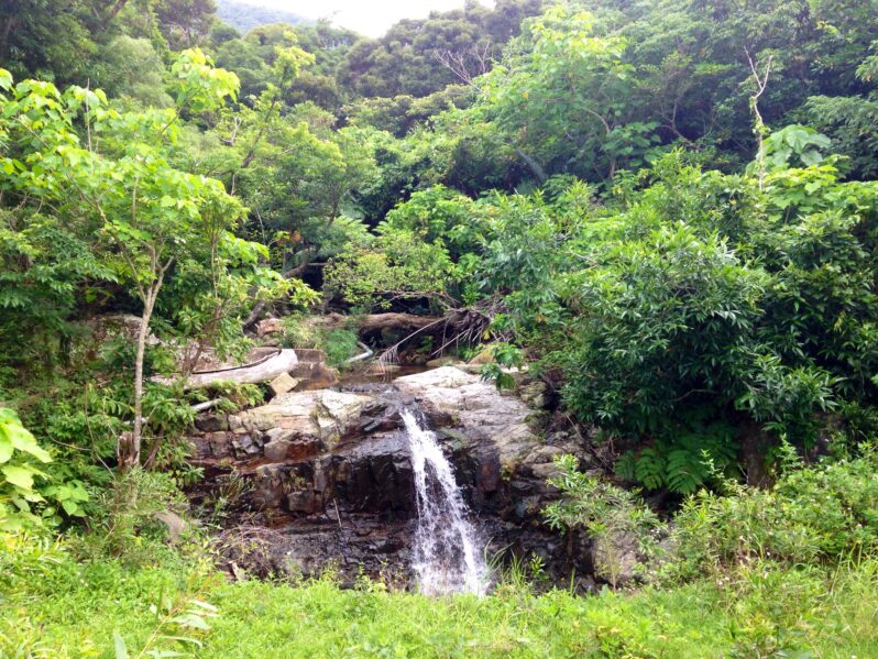 宇宙を味方につける「静寂のクリエイション」