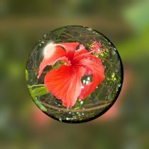 アフロディーテ｜あなたの中にある美しさを、もう隠さなくていい