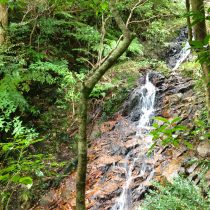 身体の反応を通して、本来の軌道へ