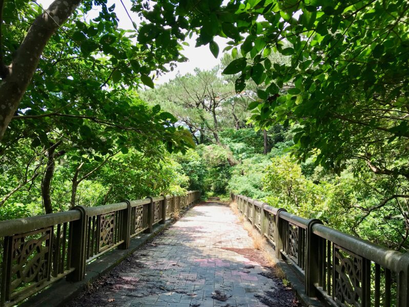 サイキックプロテクションが要らなくなる日