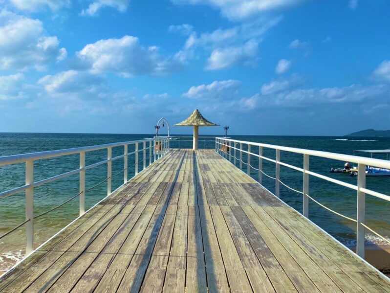 「情報」と「意見」の飽和点から、本当の渇望へ