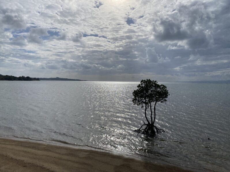 自分の音叉を澄ませる