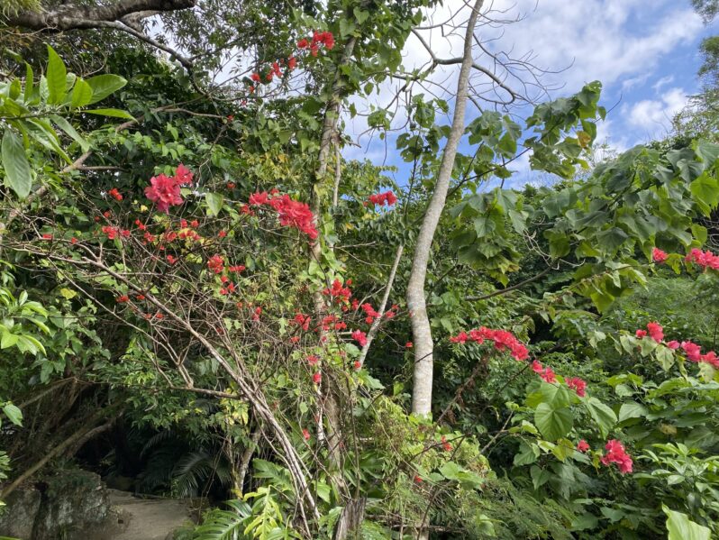 今年も一年ありがとうございました！