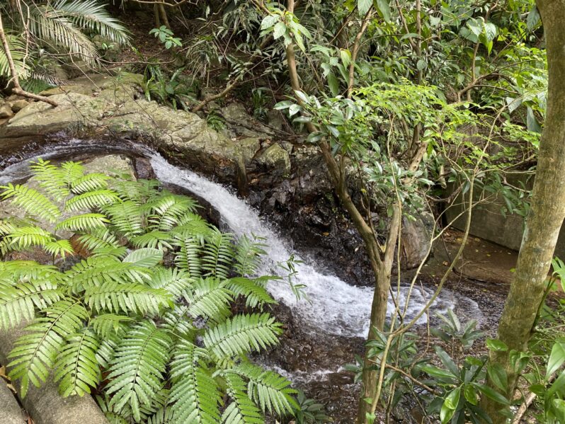 深いところで、ちゃんと次の準備が進んでいる