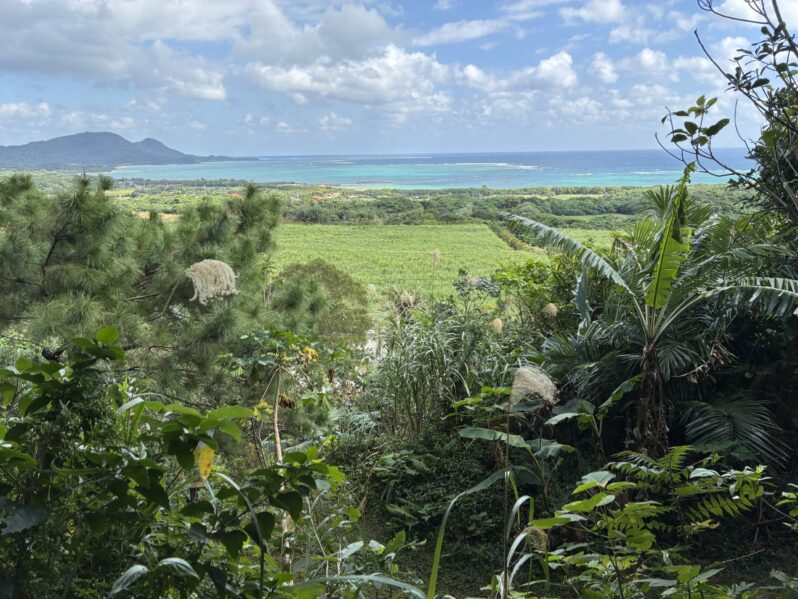 ２月のメッセージ「まだ途中であること」を喜んで