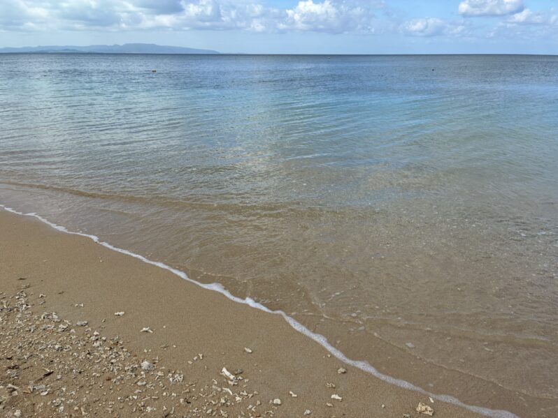 悟りすぎてしまって無気力に?