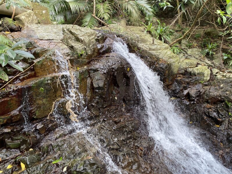 ゼロ磁場から始まる癒し
