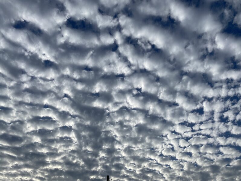 2026年1月のメッセージ