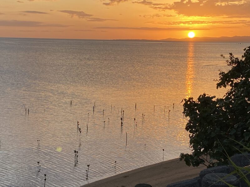 ゼロ磁場からはじまる、深くて静かな関わり