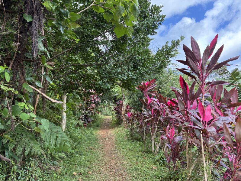 アセンションとディセンションの意味