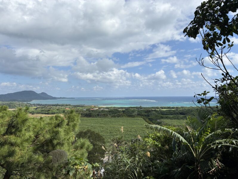 アクティベーション（活性化）のスイッチON