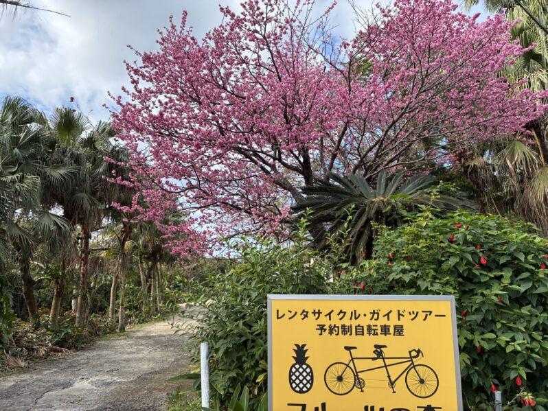 満ちたまま、次の創造へ進んで